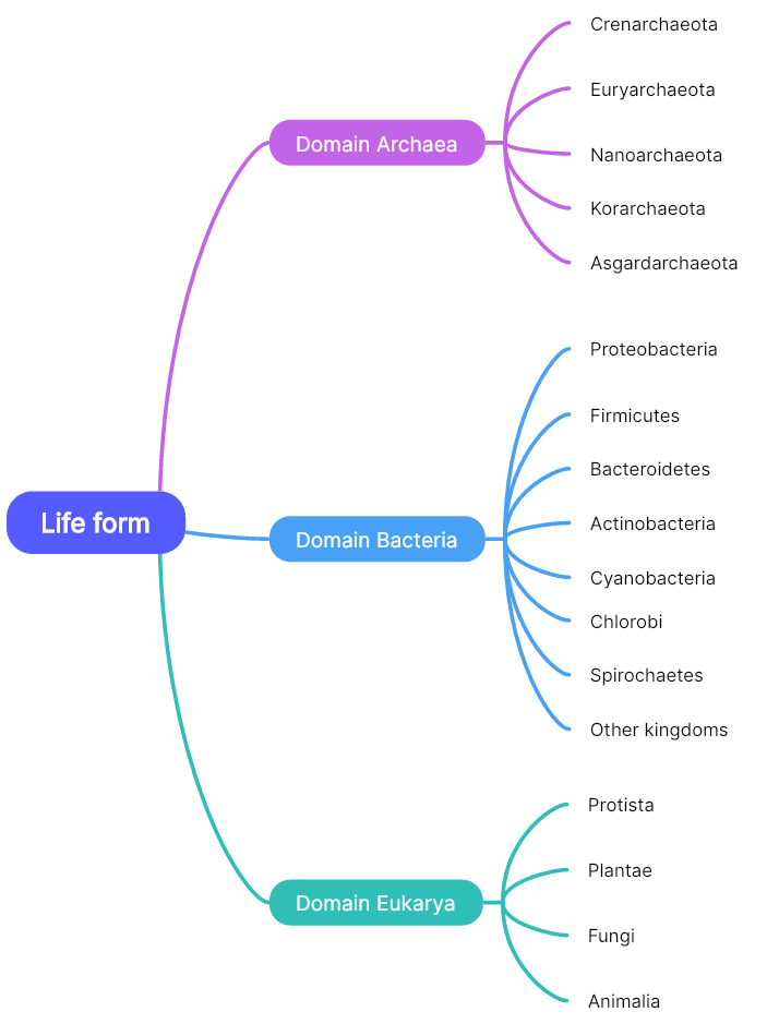 Flowchart-example