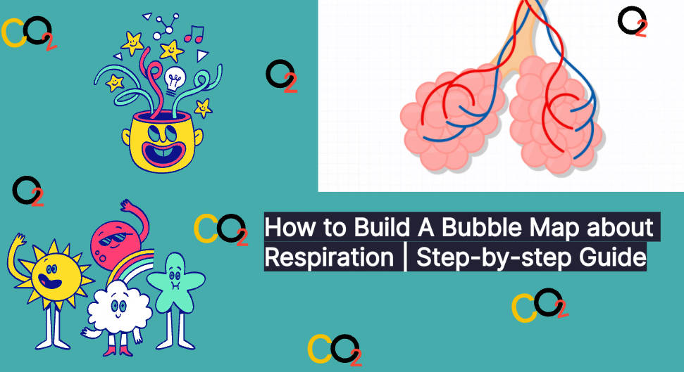 How to Build A Bubble Map about Respiration | Step-by-step Guide