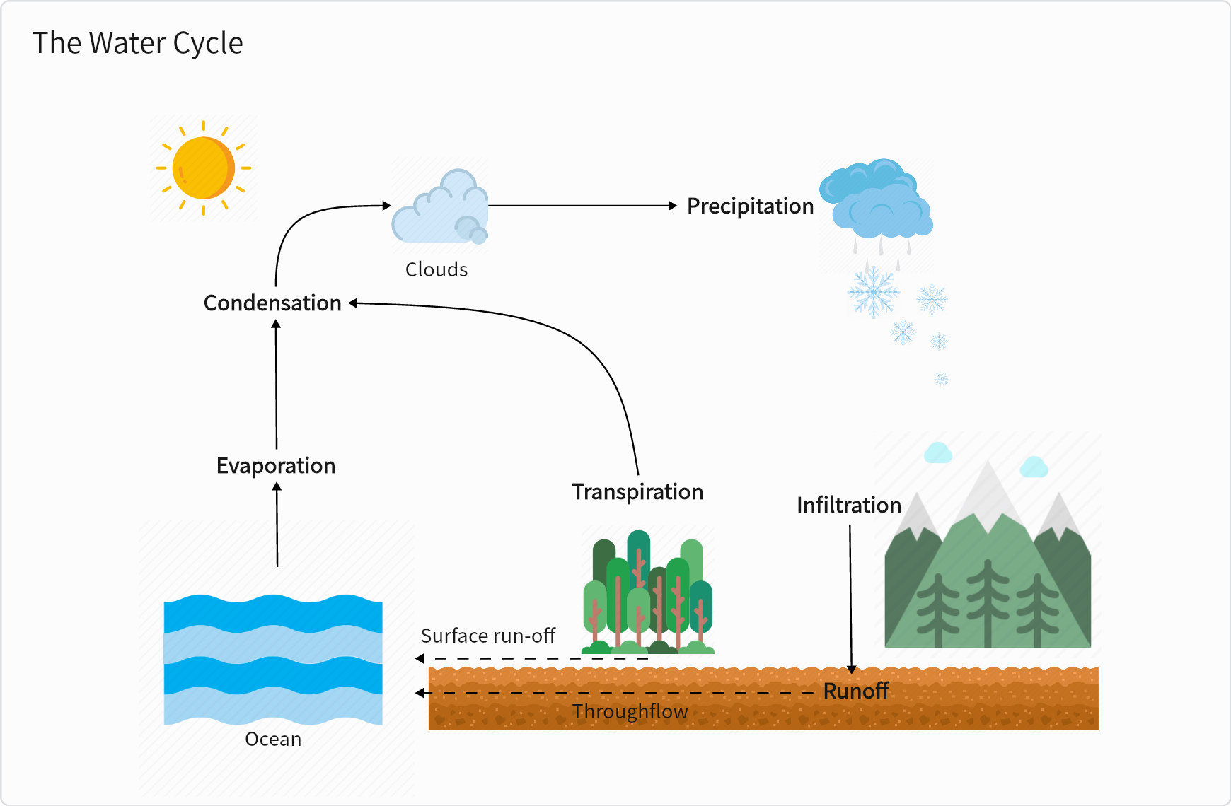 The Water Cycle