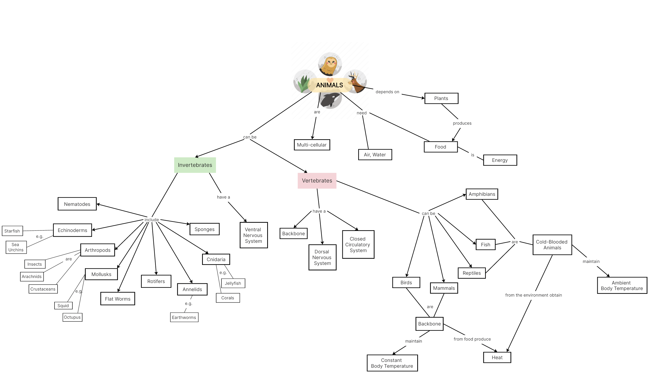 Types of Animals