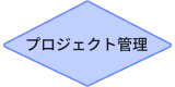 プロジェクト管理